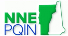 NNEPQIN logo