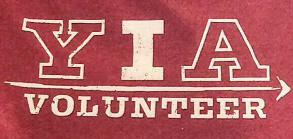 Youth-in-Action logo